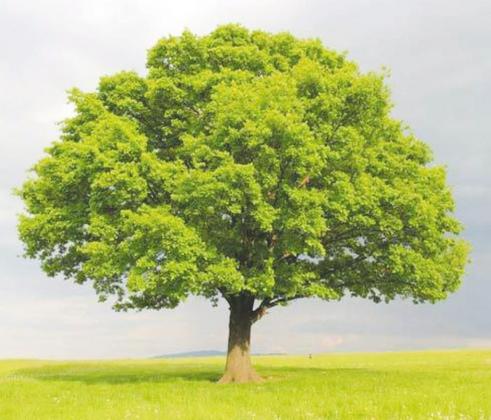 Xcel advises on energy saving