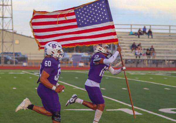 DIMMITT ACTION