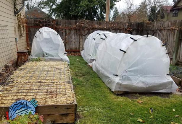 Tips for fall vegetable gardening