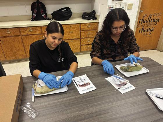 FFA STUDENTS GAIN KNOWLEDGE