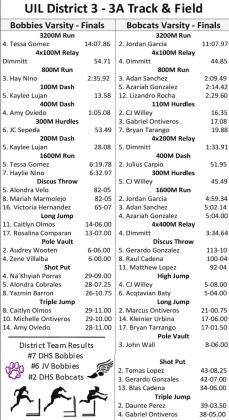 DHS tracksters advance to Area competition