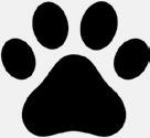 Pet Pic of the Week