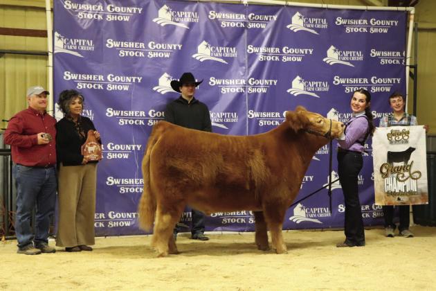 Grand Champion Steer - Addilyn Reed Courtesy Photo by Avary Wesley
