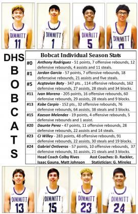 Bobcats fall to Mustangs in Quarterfinals