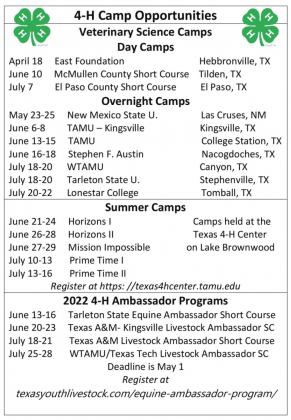 Castro County 4-H Update