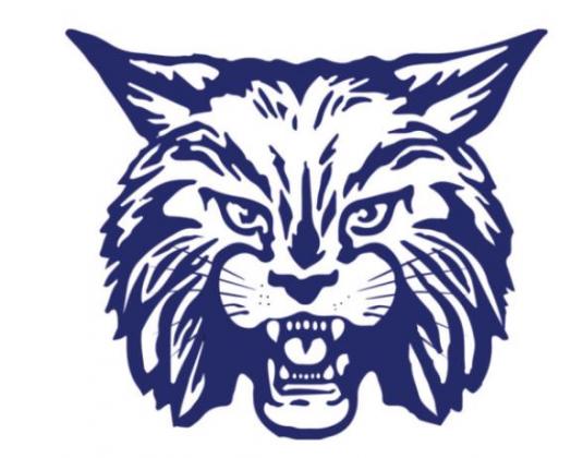 DISD honors athletic trainers