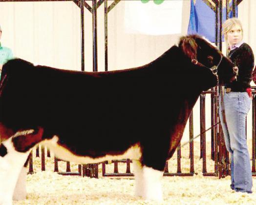 Shelby Annen – Grand Champion Steer