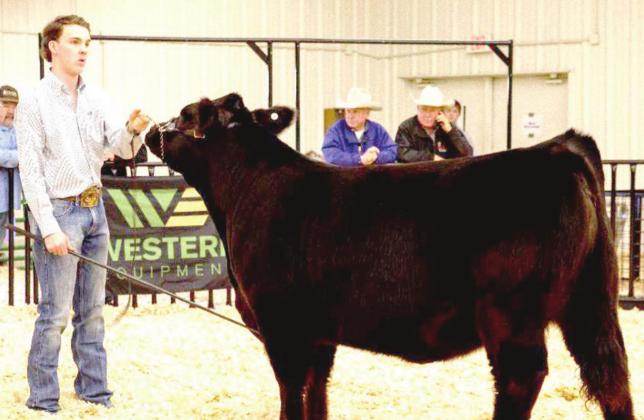 Landry Kleman – Supreme Heifer