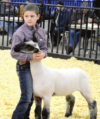 Copper Farris – Lamb Showmanship, Junior