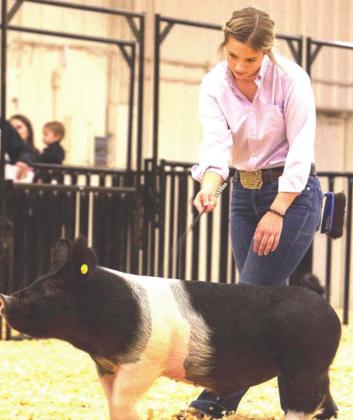Kari Schulte – Reserve Champion Barrow, Barrow Showmanship, Senior
