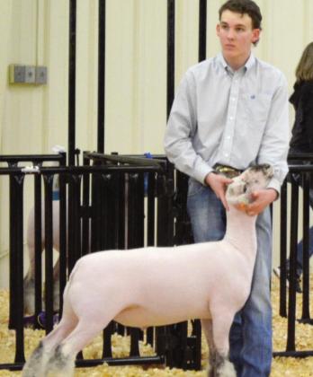 Landry Kleman – Reserve Champion Lamb, Lamb Showmanship, Senior