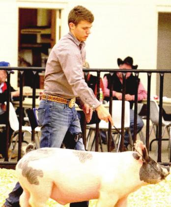 Tye Schulte – Grand Champion Barrow