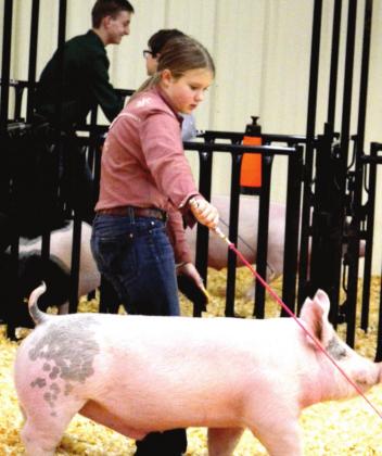 Harper Johnson – Barrow Showmanship, Junior