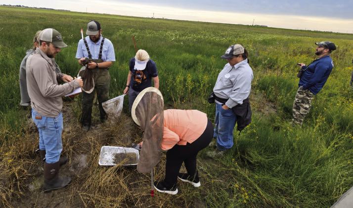 NATURALIST SURPRISES--No telling what participants of the annual Nazareth German Fest Playa Tour might find in the playa at the Ogallala Commons Playa Classroom south of Nazareth on July 11 from 9 to 11:30 a.m. The tour always includes in time to partake of the German Sausage Dinner at the Nazareth Community Hall.