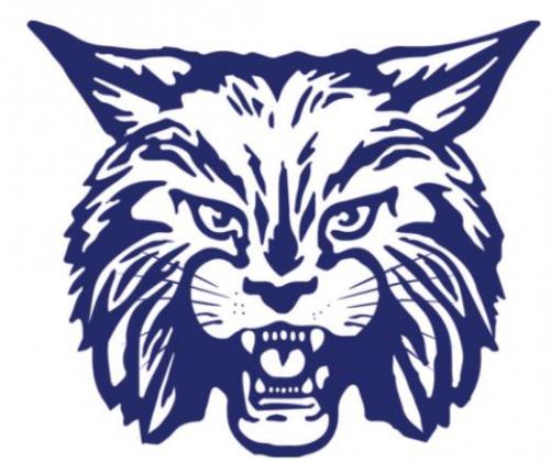 Bobcats fall to Antelopes