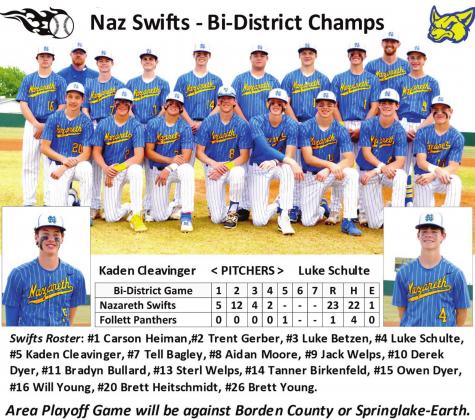 Naz Swifts bound for Area Playoff