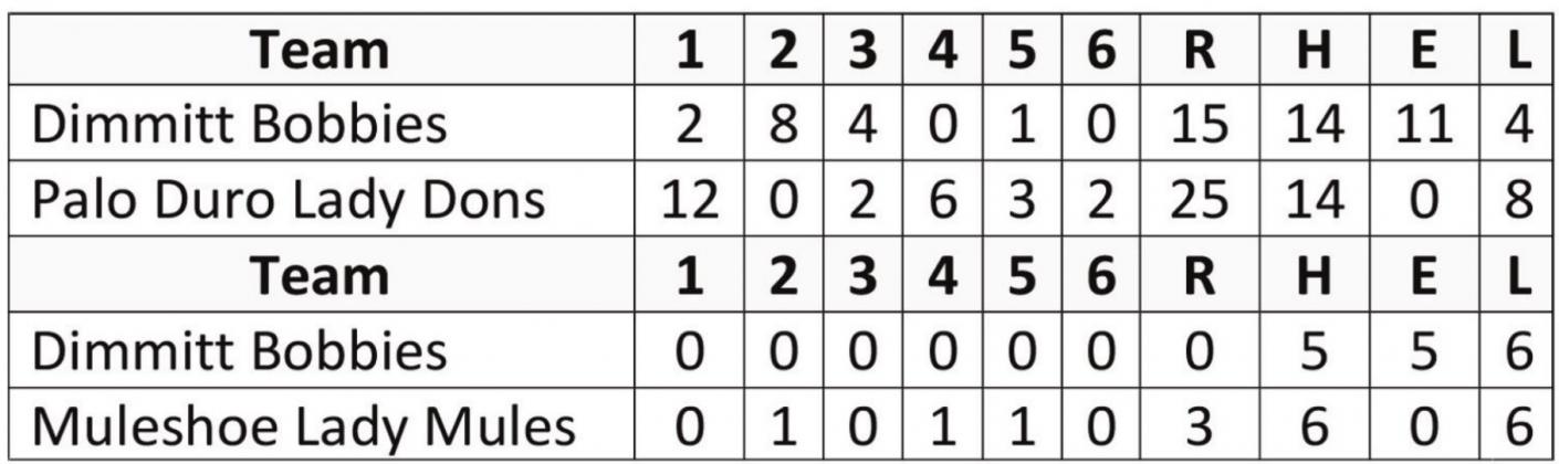 Bobbies lose to Lady Dons