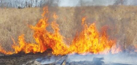 Applications for Wildfire  Defense Grant now open