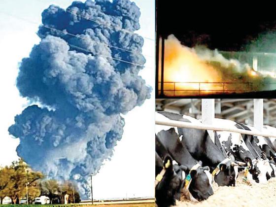 Deadly dairy fire ruled accident