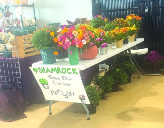 Lucky Peddlers Show Draws Crowds to Shamrock Convention Center