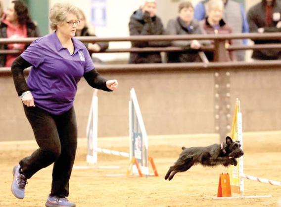 Debbie Underwood and 4U Bella’s Pride have earned the highest honor of accomp lishment, Master Agility Champion (MACH).They recently competed at the Desert Paws Obedience Club Agility Trial in Midland.