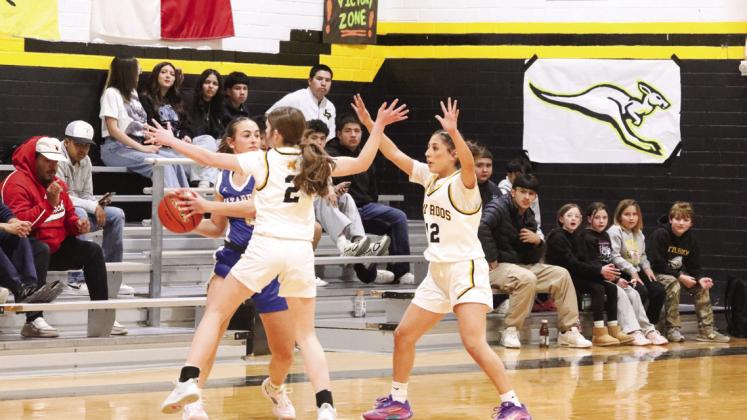 JaLea Morphis and Aleeyah Trevino trap the Nazareth ball handler