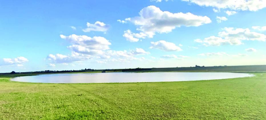 CLEAR DRAINAGE--With a good grassland buffer in place, playas like this one surrounded by native grasses receive 'polished' water vital for recharging the Ogallala aquifer.