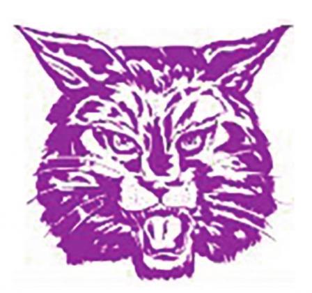 DHS athletes bound for Regionals in Abilene