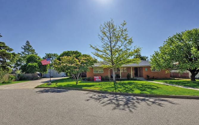 Yard of the week – 10 Terry Drive – David Kinser