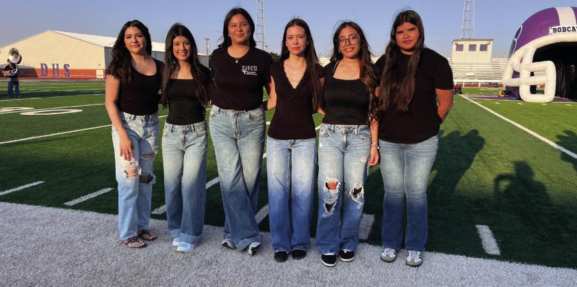 Dimmitt Trainers