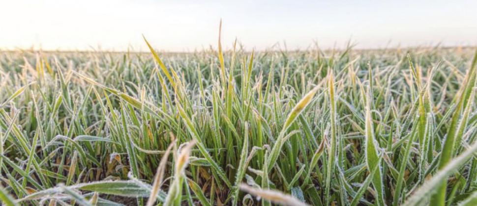 CRP program grows by 2.5M acres