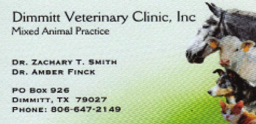 Pet Talk