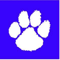Dimmitt rallies to win 34-30 over Hornets