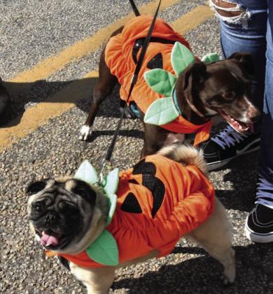DOWNTOWN FALL FIESTA