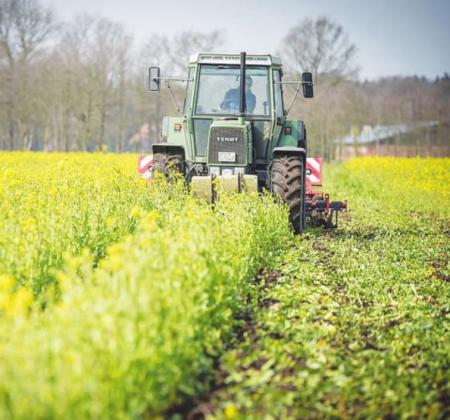 USDA announces higher
