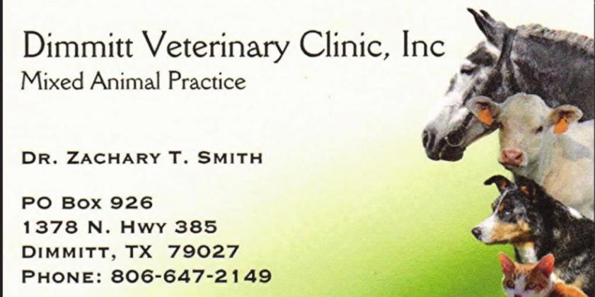 Pet Talk