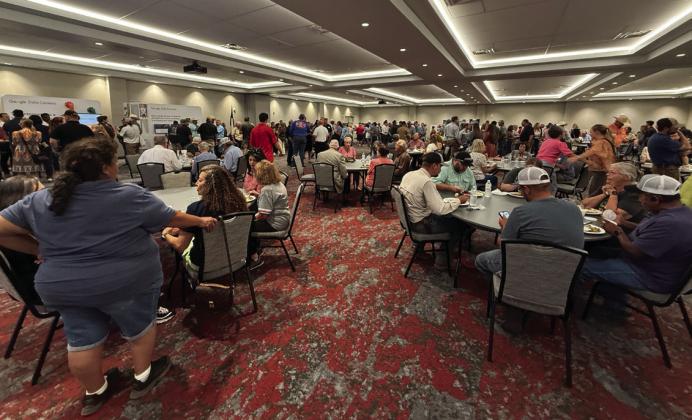DSC County Judge, Water expert Grotegut answer Brand’s data center questions