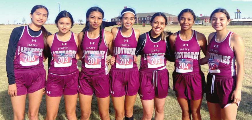 Dimmitt HS cross country qualify for regionals