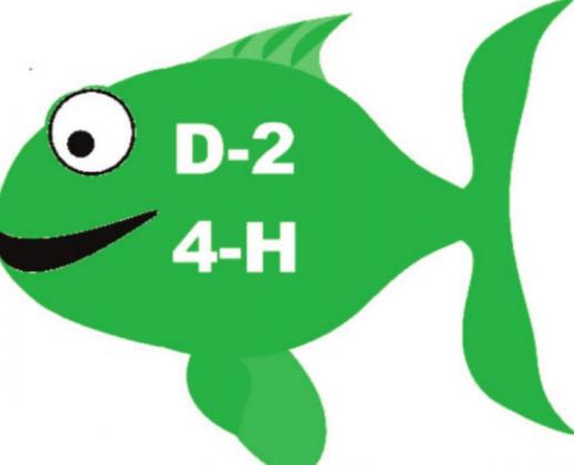 District 2 4-H Fishing