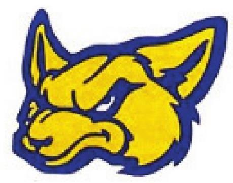 Swifts fall to Wolverines, 54-50