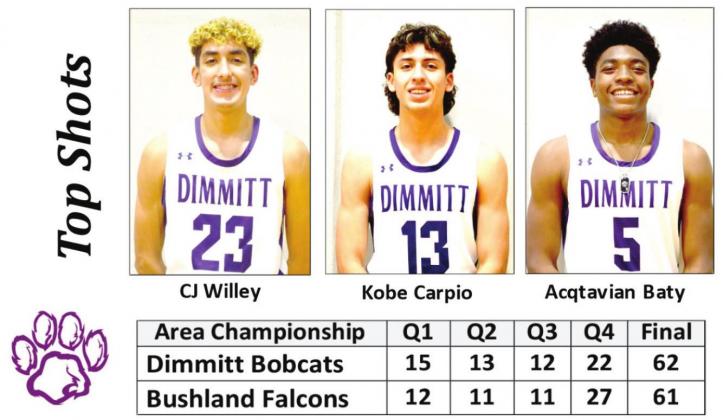 Bobcats capture Area Championship