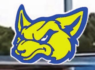 State Finals June 9-10 Round Rock