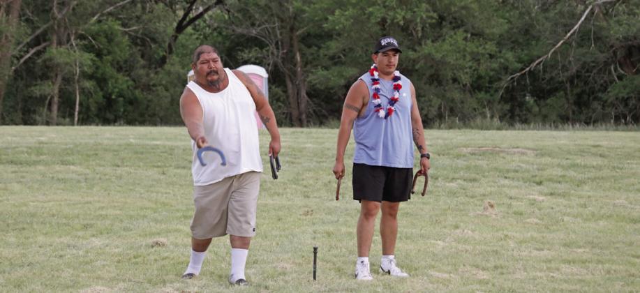 Horseshoes