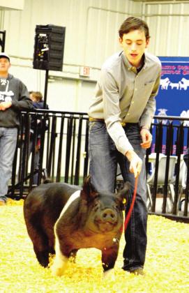 (Photo left) Reserve Champion Barrow – Zac Huseman, Nazareth FFA