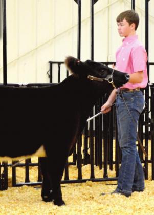 (Photo right) Reserve Supreme Heifer – Will Young, Nazareth FFA