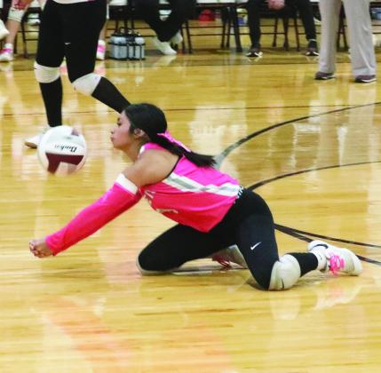 Mayci Del Toro dives for the ball