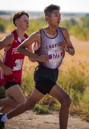 HERD, LADY HERD COMPETE AT DISTRICT CROSS COUNTRY MEET