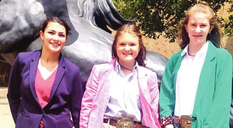 District 2 - 4-H Livestock Judging - Gracie White, Harper Johnson and Emily Durbin.