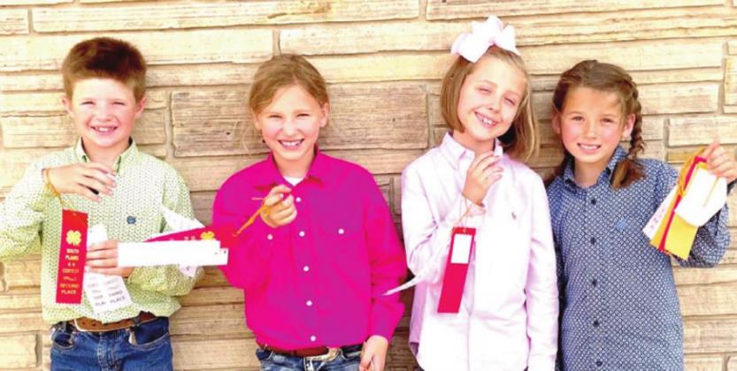 District 2 - Castro 4-H Junior Horse Judging - Team #2