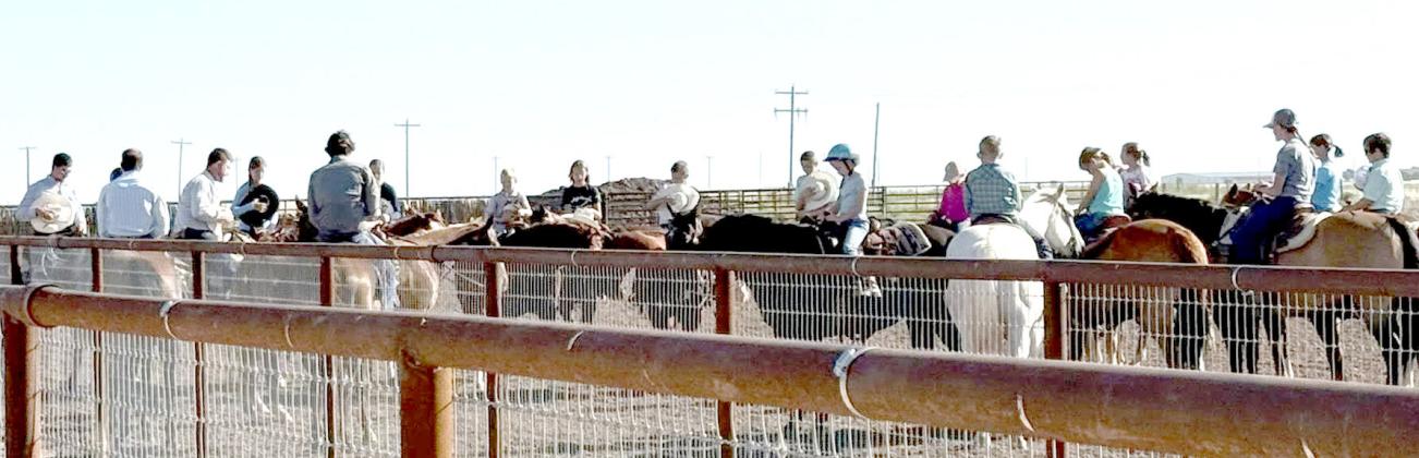 Castro County 4-H